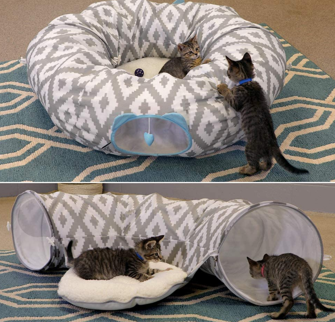 Pop Up Cat Bed