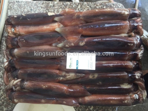 whole round Seafrozen Illex Argentinus Squid