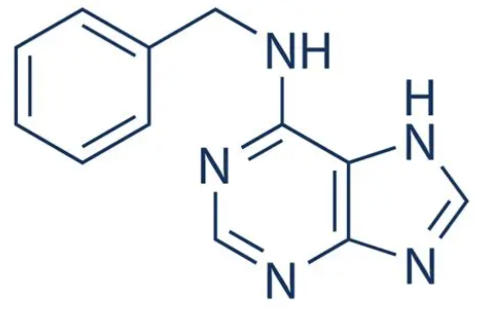 6-BA Cytokinin Growth Promoter