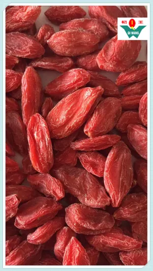 Chinese Dried Goji Berries/Wolfberries Price Best