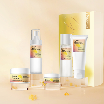 International Ultra-High Process Organic Skin Care Facial Kit for Whitening
