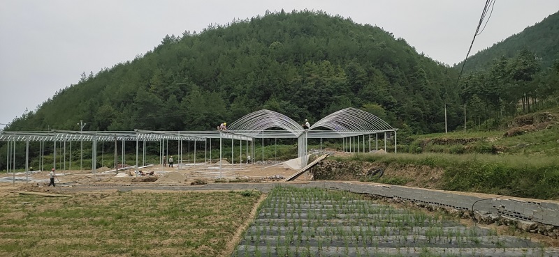 Breaking the Bottleneck of Mountain Cultivation: Qingcheng Agriculture's Integrated Greenhouse Project Lands in Dajin Town, Kaizhou District, Chongqing