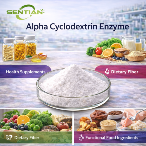 Alpha Cyclodextrin Enzyme