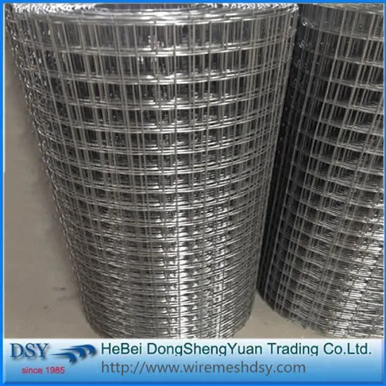 Building 10 gauge galvanized 6x6 welded wire mesh