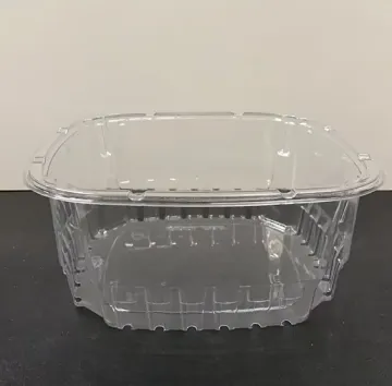 Clear PET Transparent Blister Packaging Tray With Lid