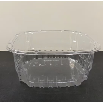 Clear PET Transparent Blister Packaging Tray With Lid