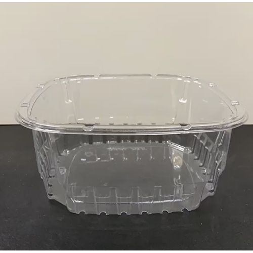 Clear PET Blister Tray With Lid