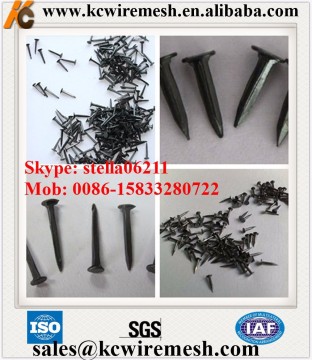 Cheap!!!!!!! KangChen 2kg/box Good Quality Shoe Tacks For India Market/Shoe Tacks Nails