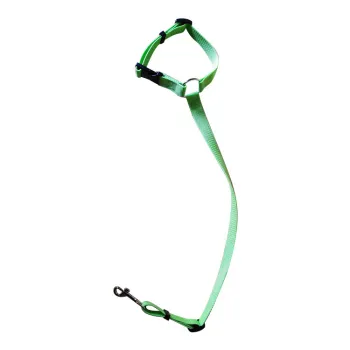 Reflective Nylon Dog Leash with Padded Handle for Night Walking in Solid Patterns