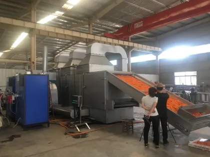 Multi-Layer Industrial Conveyor Mesh Belt Dryer