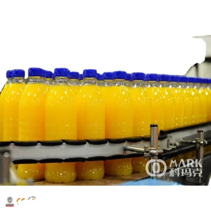Automatic Juice and Pure Water Filling Production Line