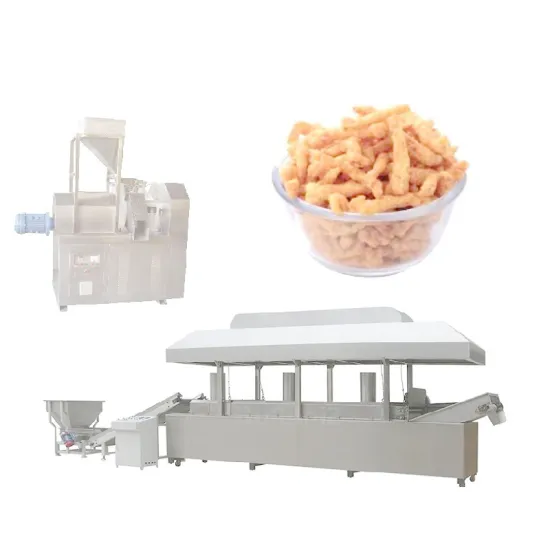Production Technology for Crispy Snack Foods: Exploring Mixer Extruders, Fryers, and Flavoring Machines in Cheetos, Kurkures, and Nik Naks Manufacturing