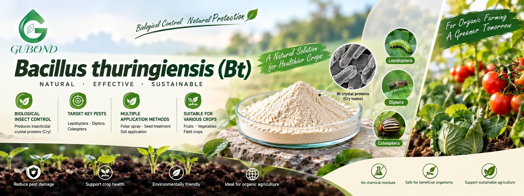 Bacillus thuringiensis (Bt)
