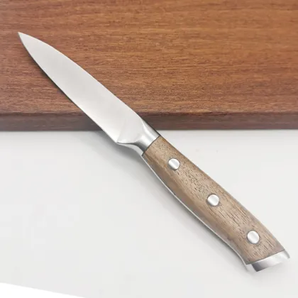 Vegetable Fruit Knife Damascus Blade