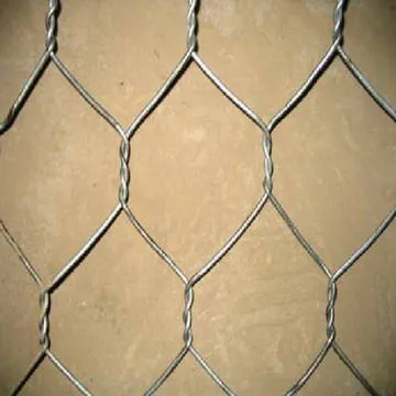 1.2m Hight Specialty Manufacture Decorative Galvanized Hexagonal Wire Mesh For Chicken