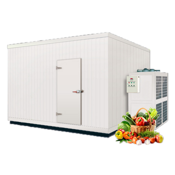 Best Cool Freezer Cold Room Panels with Cam Lock Mechanism: Top Picks and Features