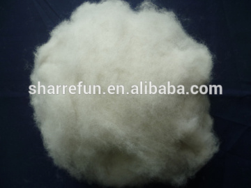 Carded and Dehaired Silver Fox Hair 16.0mic 28mm