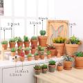 5 inch Clay Pottery Planter Cactus Flower Pots