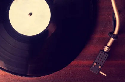 12 Inch Music Vinyl Record Production (Long Play)