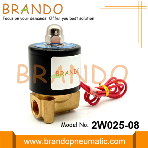 1/4 &quot;2W025-08 Brass Solenoid Valve Water 24V 220V