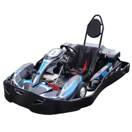 2022 Hottest 3000W Go Kart Motor with R1 Design