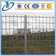 Hot Dless Strapped Line Razor Wire Fence