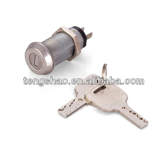 dustproof flat key 32mm keyswitch lock