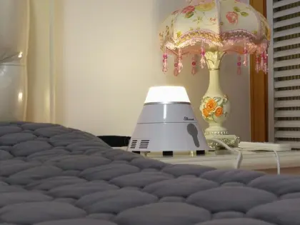 Electric Temperature Control Mattress Topper