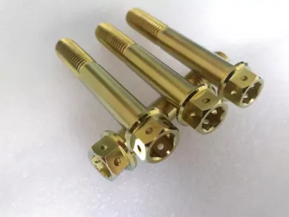 M10 1.25 Titanium-screws with nail head hex key