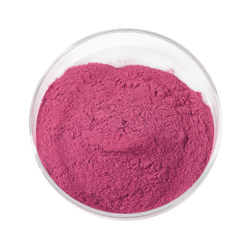 Best Acai berry powder wholesale