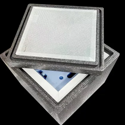 EPP Silica VIP Cold Boxes for Medicine