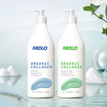 OEM Factory Wholesales: Argan Oil Smoothing Anti-Hair Loss Biotin Shampoo & Conditioner Set for Damaged Hair Growth