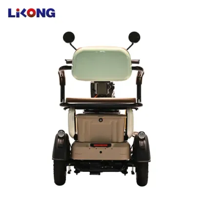 Lithium Battery Brushless Motor Electric Vehicles