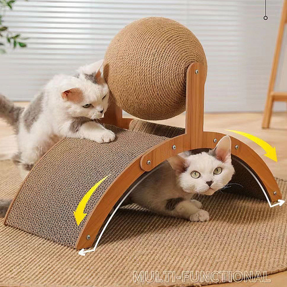 cat scratch