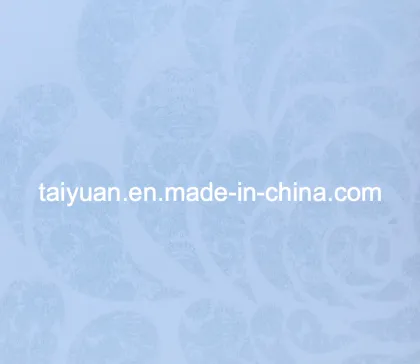 Hisense Refrigerator Glass-- Tempered & Silk Screen Printing Glass