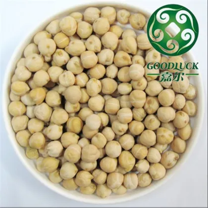 Wholesale China chickpeas of good quality (2013 crop)