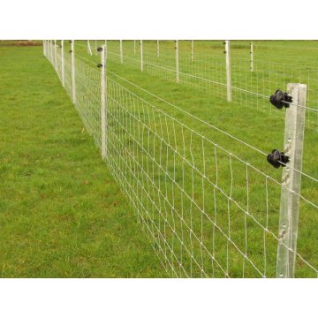 Advanced teknologi wire twin fencing