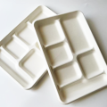 6 verdeelde Bagasse Tray Fast Food Tray