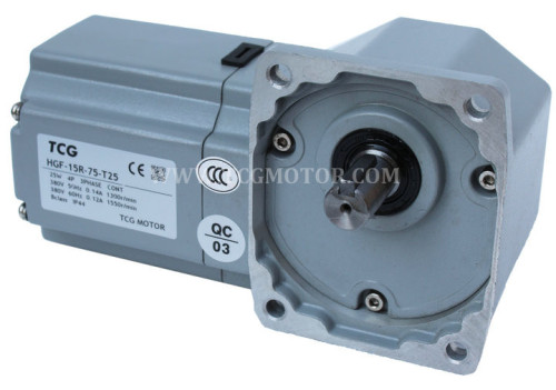 110/220V Right Angle AC Gear Inductionmotors