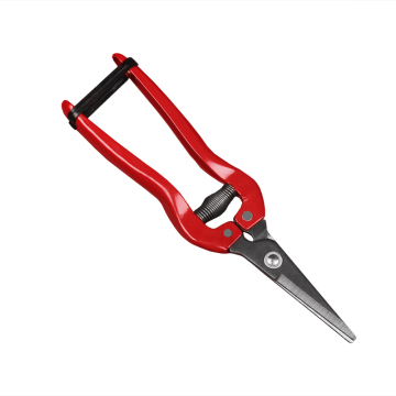 Professional fruit picking scissors grape harvesting grafting scissors garden manual pruning shears