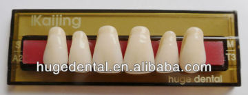 4 layers acrylic teeth KAIJING T3