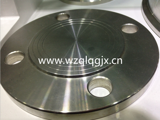 Sanitary Forged Flange