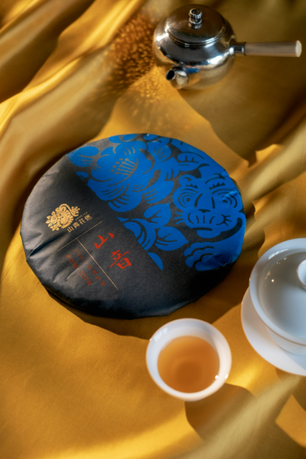 2021 Shanyin
