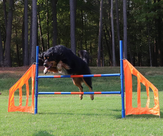Dog Agility Jump Set