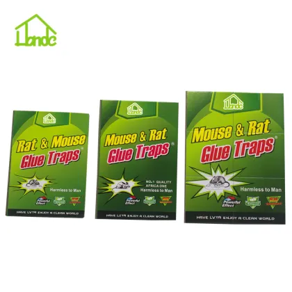 Cardboard  Mouse Trap Boards