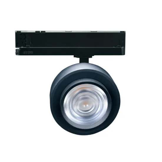 RONSE 2024 Smart Track Lighting Ceiling Aluminum Alloy Zoomable Track Light