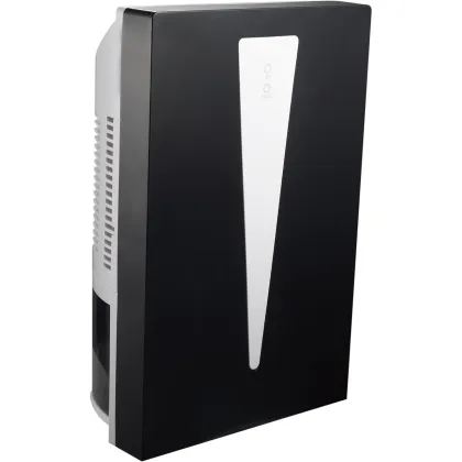 Dehumidifier with air purifier