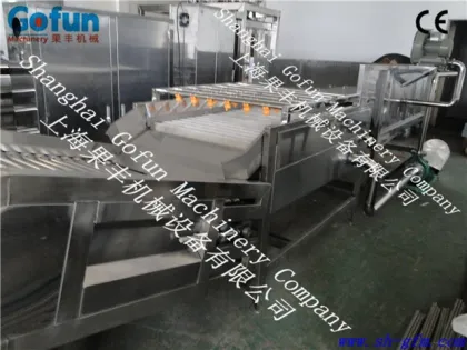 Fruit and Vegetable Brush Washing machine/food Brush cleaning machine/food processing machine