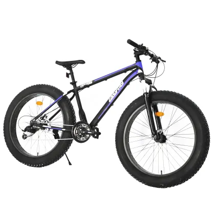 Wholesale High Quality Cheap Snow Bike Fork and Fat Tire Bicycles