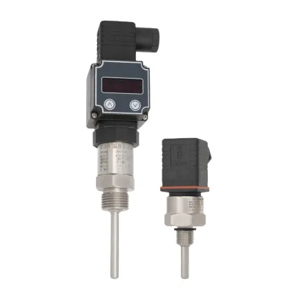 Customized Herman Temperature Sensors with Integrated Transmitter